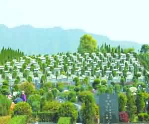 基于传统文化元素的墓园景观设计探究