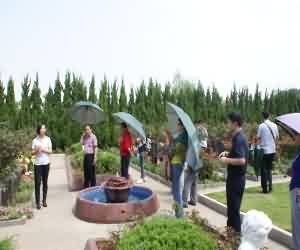 中国当代公墓建设的社会经济背景