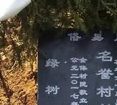 武备类陪葬坑