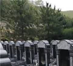 教育课堂—灵堂外的真谛