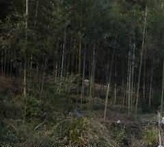关于鄂西南少数民族宗教信仰的研究