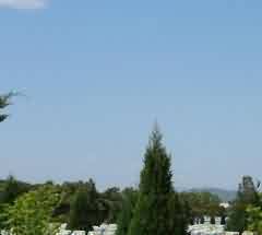 信仰观念渐趋淡泊、世俗化倾向日趋明显