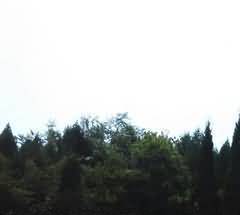烧毁故衣