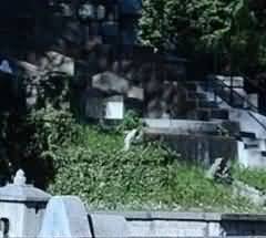 精神性求取带来生命的富足感