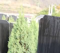 知命奋进，方能坦然面对死亡
