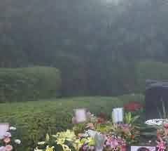 环境—行为心理学理论