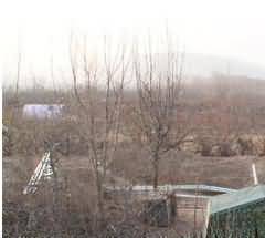 用系统观进行城市园林公墓生态建设