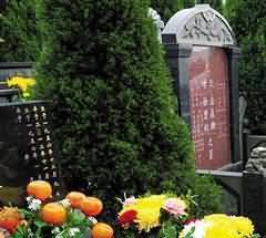 环境行为学理论