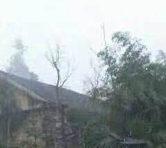 公墓用地的兼容性