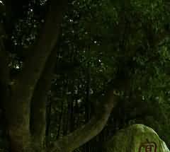 对加强和改进河南农村殡葬改革工作的思考