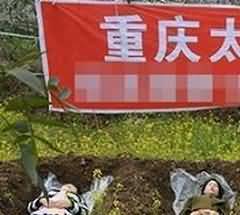 “以罚代法”为土葬和火化后二次装棺土葬留下空间