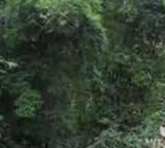 殡葬执法部门在执法过程中不注重群众的感情