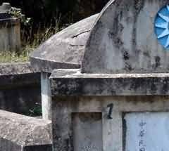 生态葬初衷要贯彻