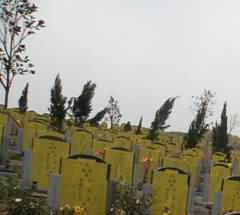 区域丧葬现象研究