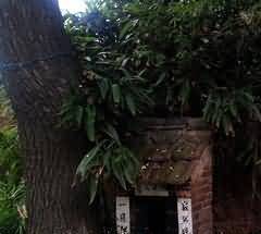 有悖于生态可持续循环价值观