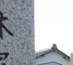 各地不同程度出现了“墓荒”现象