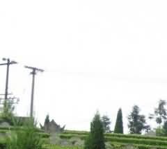 乡村花园式墓园(Rural Garden Cemetery