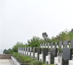 传统葬俗处于主导地位