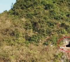 巍峨壮观的地上陵园