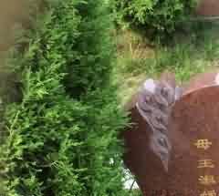 立法明确购墓者经营性公墓买卖合同的权利属性