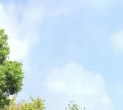 殡仪馆建筑及其周边环境设计