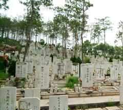 节约型墓园建设的社会背景