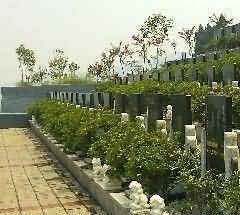 节约型墓园建设存在的问题