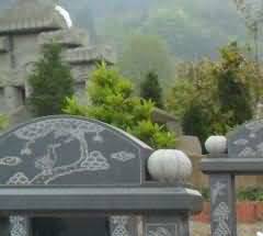 国内群众对生态葬的观点