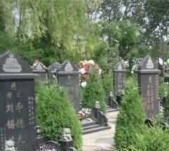 关于惠民殡葬的问题