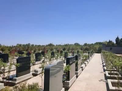 关于西欧国家公用墓地利用政策分析