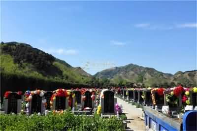 经营性公墓存在的问题