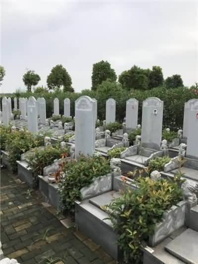 中国殡葬服务的主要内容及殡葬业务事故的类型