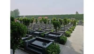 建立一体化的城市公墓治理网络信息化平台