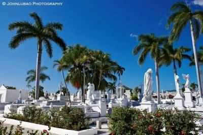 公共财政与金融机构合作支持村集体建墓