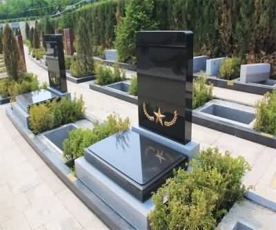 中西方生死观的差异性