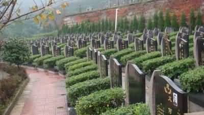城市墓园功能设计