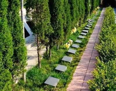 闹灵歌名称的由来