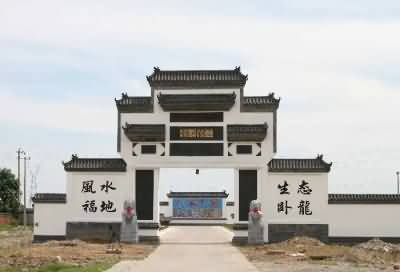政府改革的影响分析