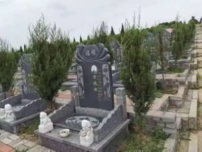 强调久丧