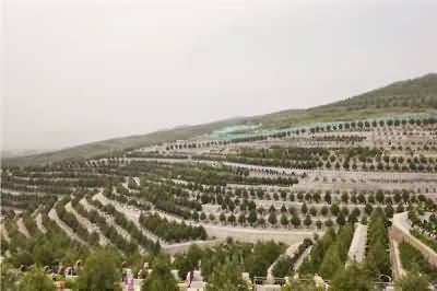 加强政府和社会资本的有效合作，推动公益性公墓的建设进度
