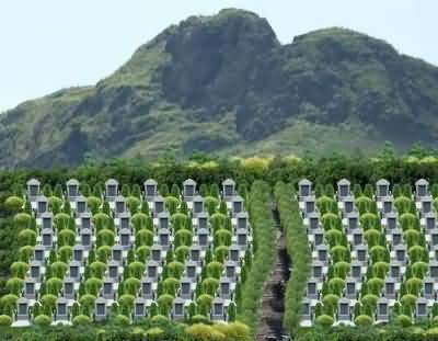 健全公墓监督管理机制