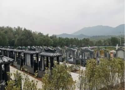 确定新增的墓地使用权的取得方式与期限