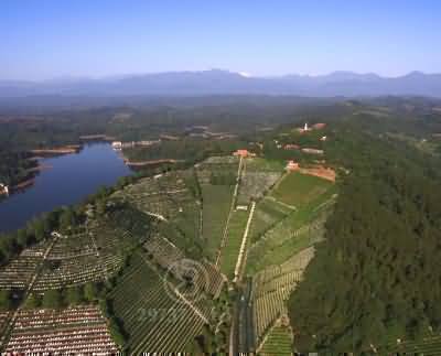 公益性公墓建设及管理受限