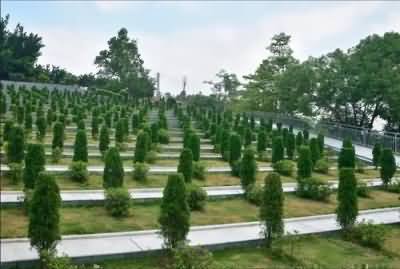以政策引导现代丧葬礼仪形式
