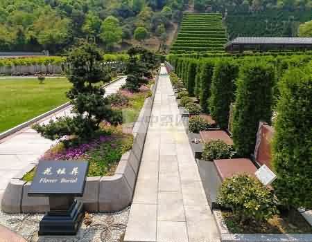 私建坟墓现象仍存在，乱埋乱葬现象抬头