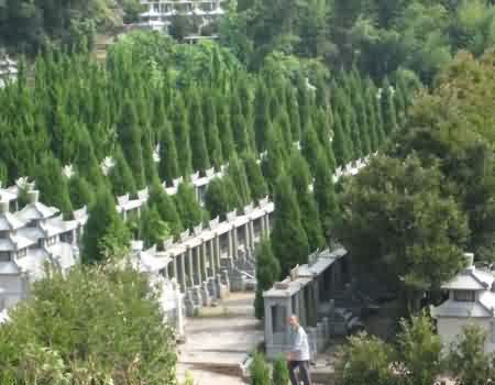 国内从殡葬消费和殡葬服务市场角度对殡葬改革的研究