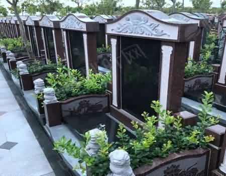 优化红白理事会运作环境