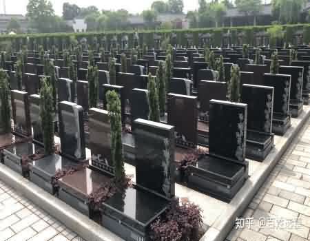 强化殡葬管理行政执法