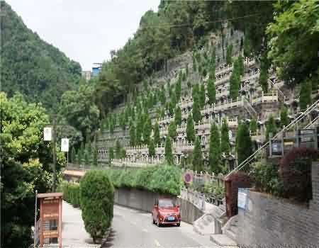 【华南陵园】绿壤承脉录·永泽生态安魂鉴