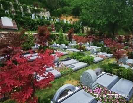 碑记春秋：探秘中国墓碑文化的生命记忆——华南陵园解读殡葬文化传承